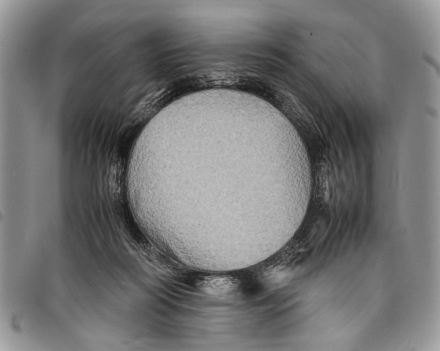 X0000097780218200803281709