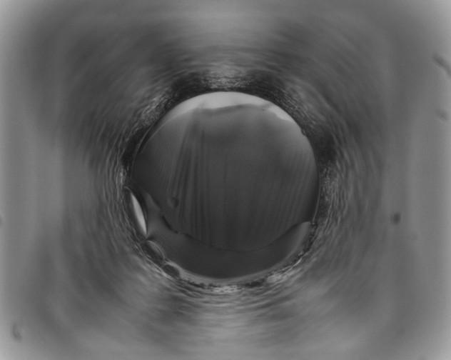 X0000097780219200803281709