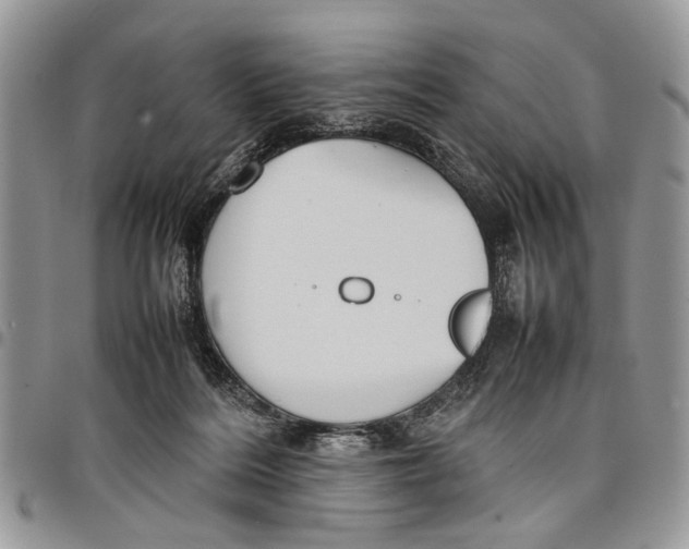 X0000097780220200803281708