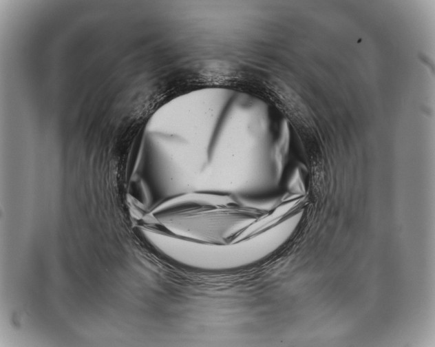 X0000097780221200803281708