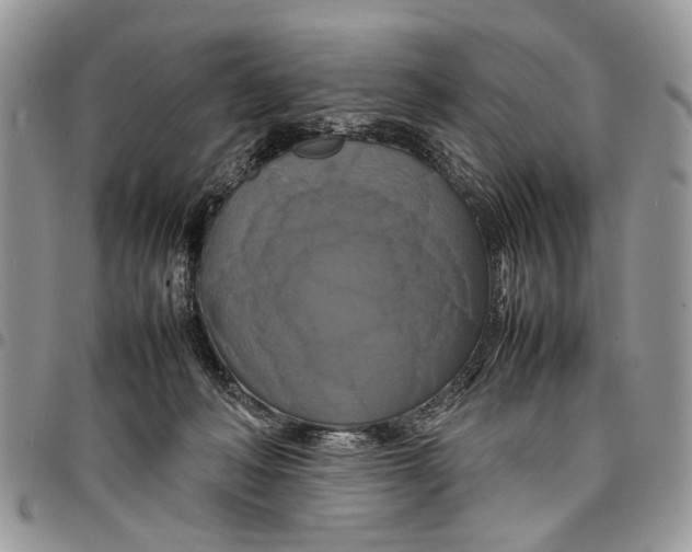 X0000097780222200803281708