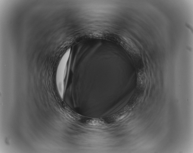 X0000097780223200803281708