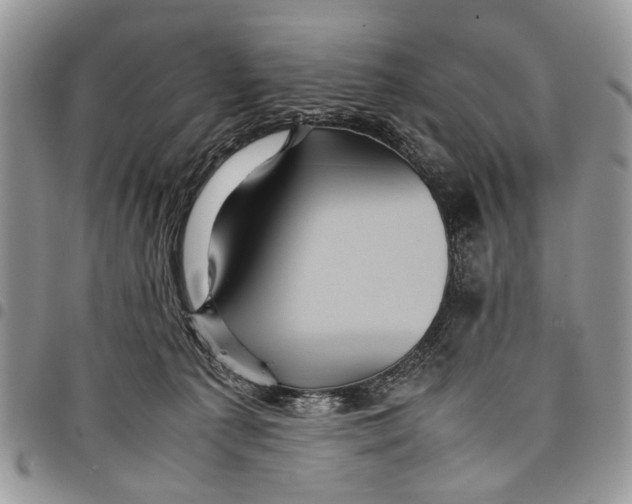 X0000097780225200803281708