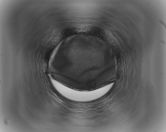 X0000097780227200803281708