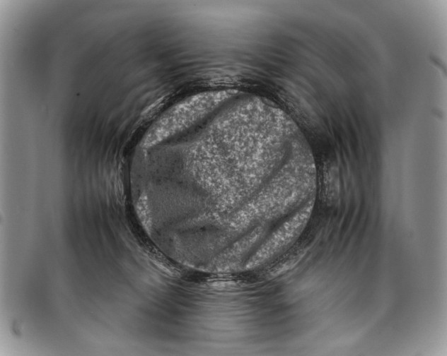 X0000097780228200803281708