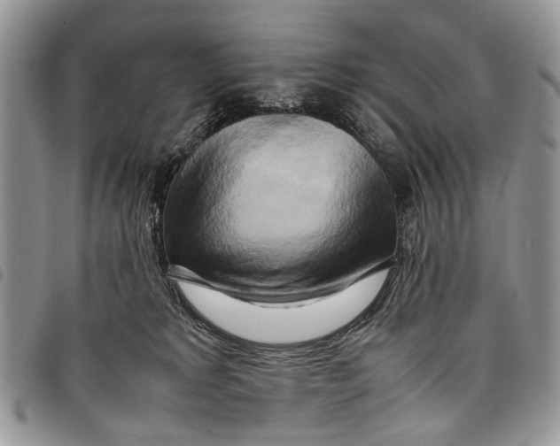 X0000097780229200803281708