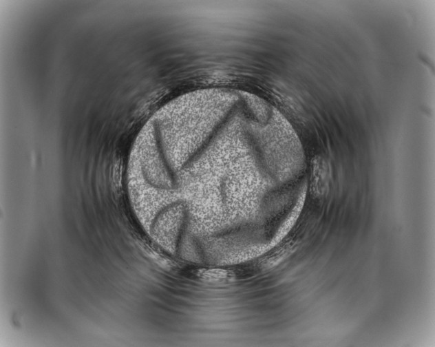 X0000097780230200803281708