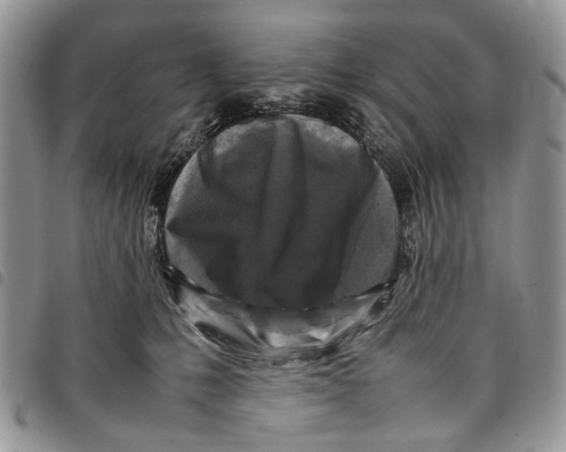 X0000097780231200803281708