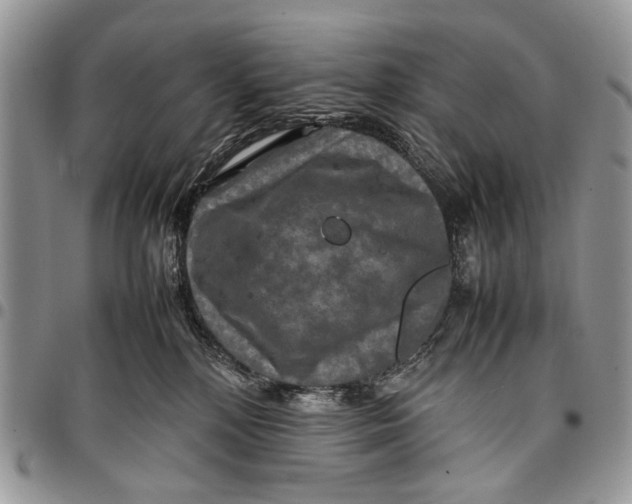 X0000097780232200803281708