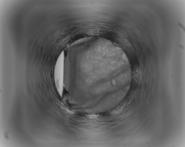 X0000097780233200803281708