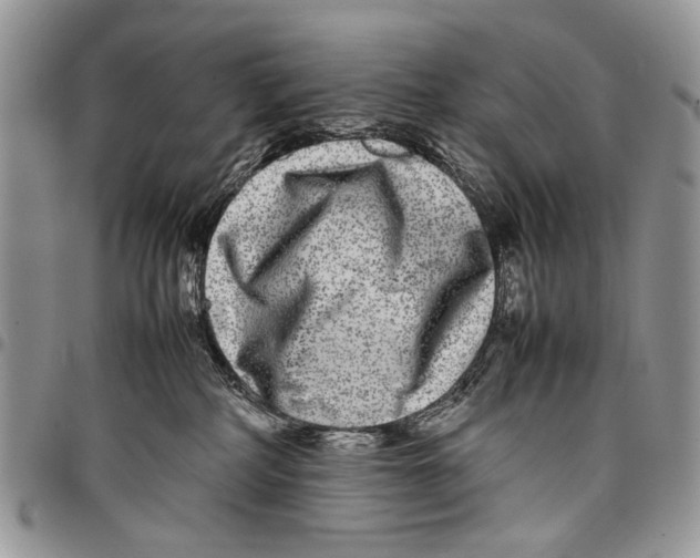 X0000097780234200803281708