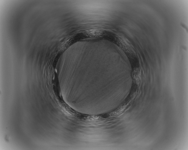 X0000097780235200803281708