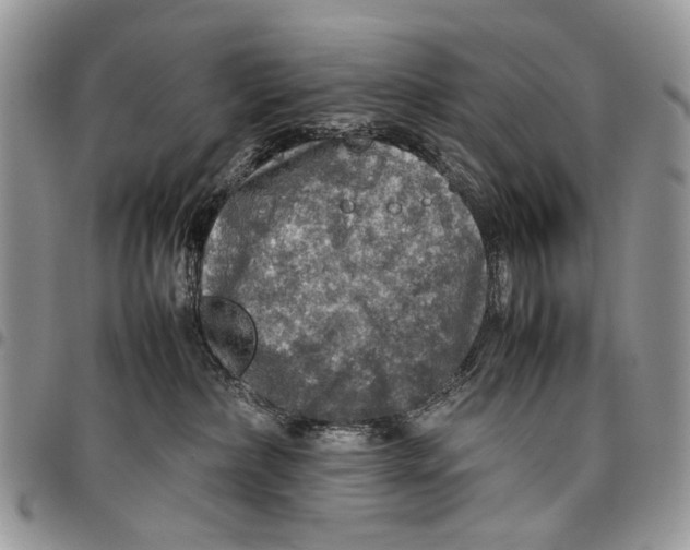 X0000097780236200803281708