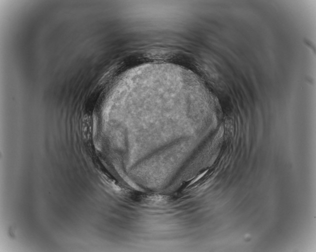 X0000097780237200803281708