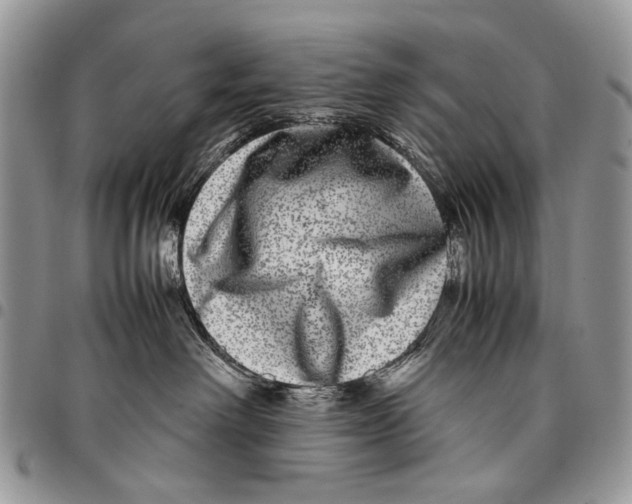 X0000097780238200803281708