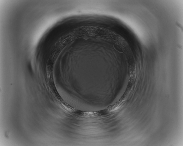 X0000097780239200803281708