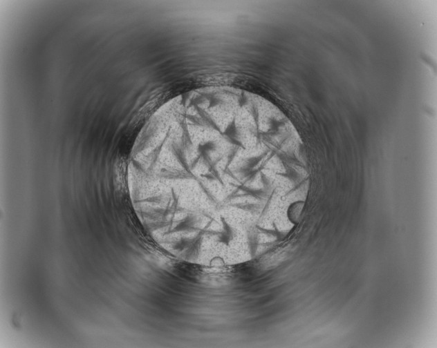 X0000097780240200803281708