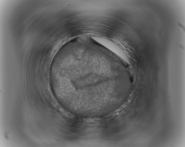 X0000097780241200803281708