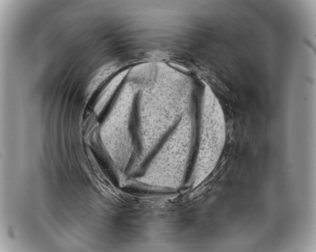 X0000097780242200803281708