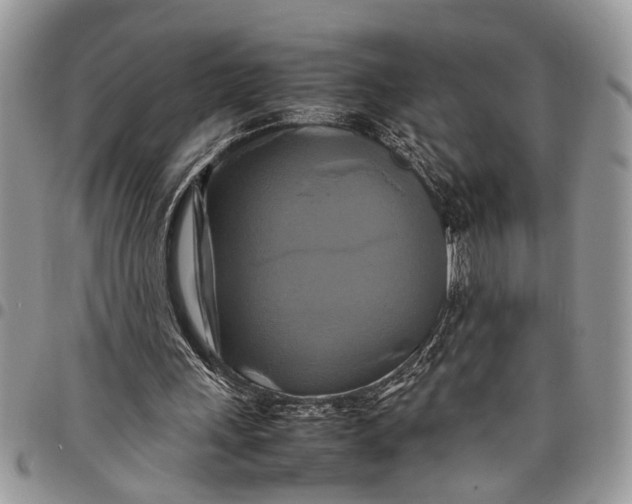 X0000097780243200803281708