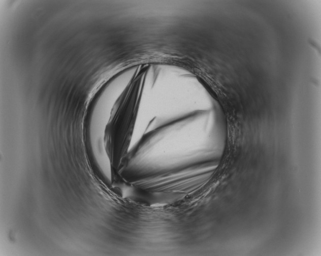 X0000097780244200803281708