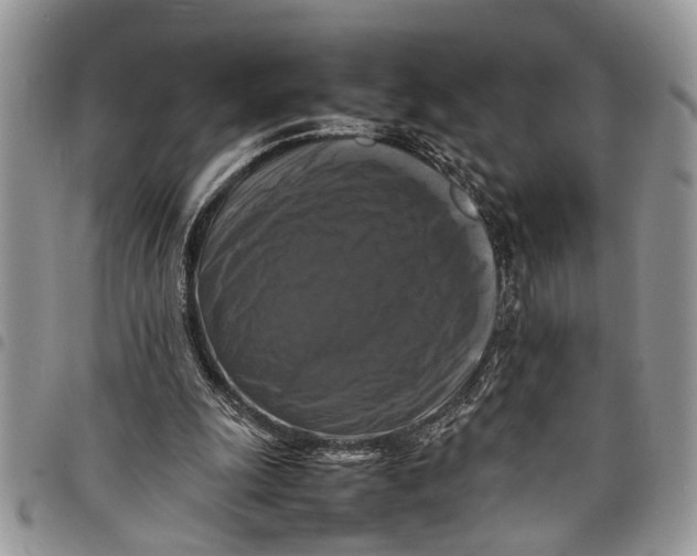 X0000097780247200803281708