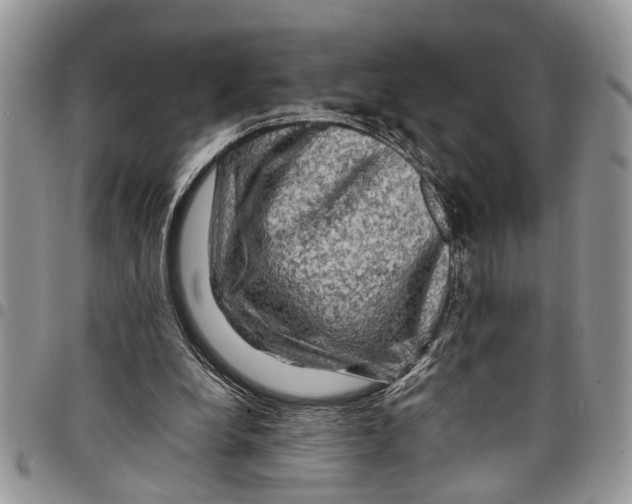 X0000097780248200803281708