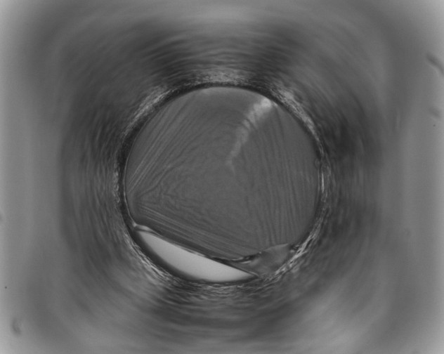 X0000097780249200803281708