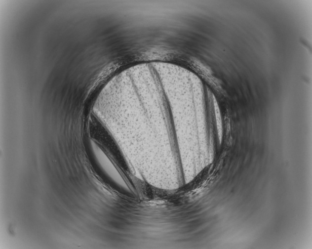 X0000097780250200803281708