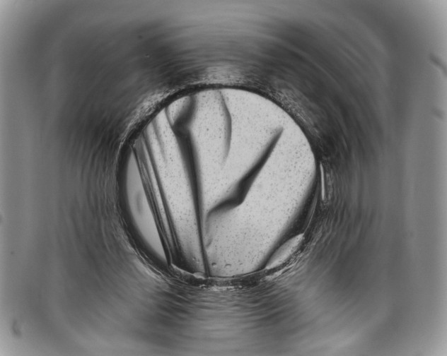 X0000097780252200803281708