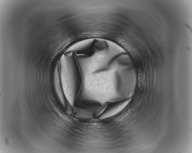 X0000097780254200803281708