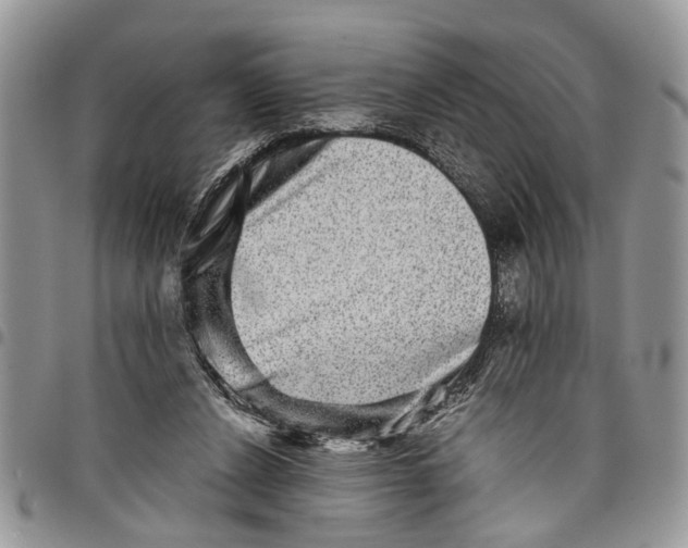 X0000097780256200803281708