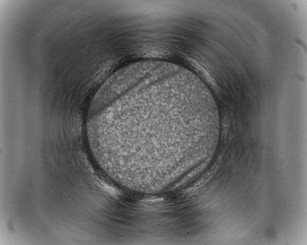 X0000097780257200803281708