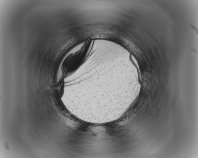 X0000097780258200803281708