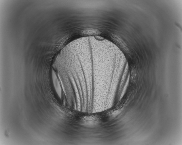 X0000097780259200803281708