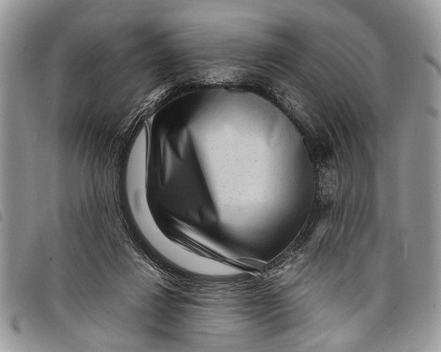 X0000097780260200803281708