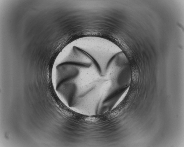 X0000097780261200803281708