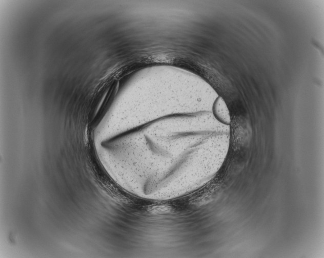 X0000097780262200803281708