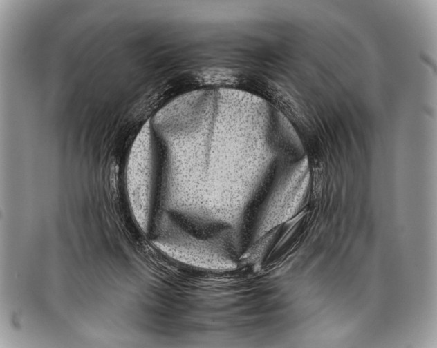 X0000097780263200803281708