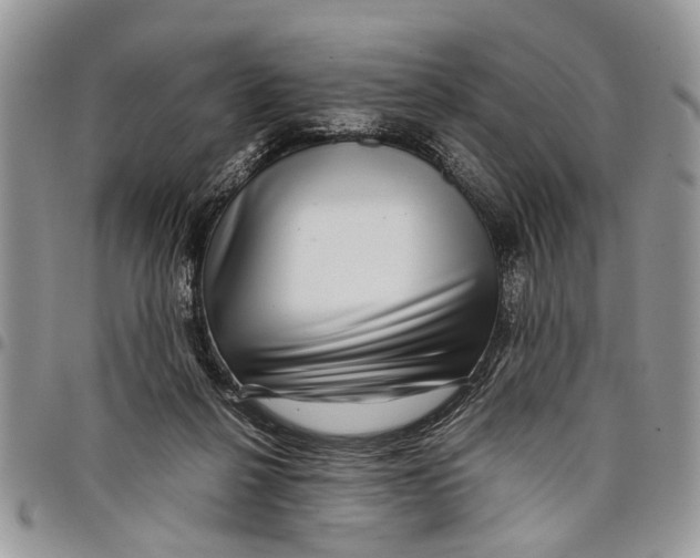 X0000097780264200803281708