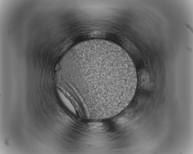 X0000097780266200803281708