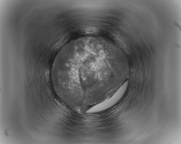 X0000097780269200803281708