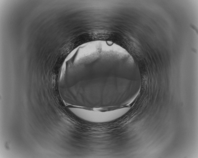 X0000097780271200803281708