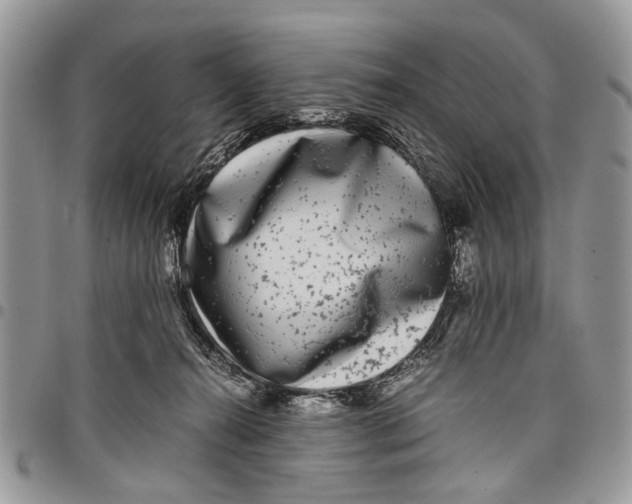 X0000097780272200803281708