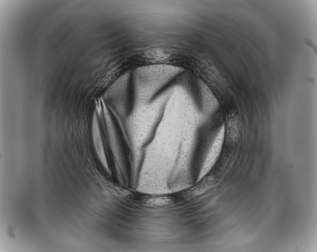 X0000097780274200803281708