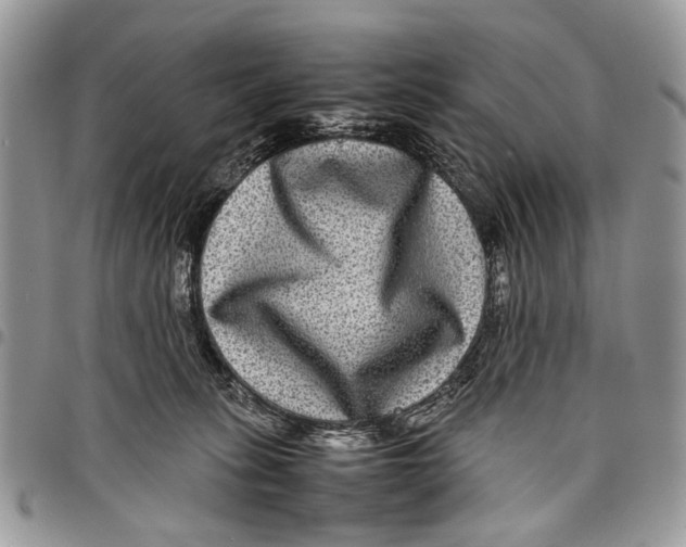 X0000097780275200803281708