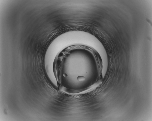 X0000097780276200803281708