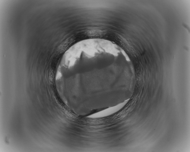 X0000097780277200803281708