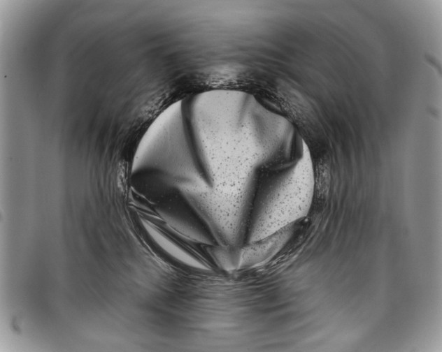 X0000097780280200803281708