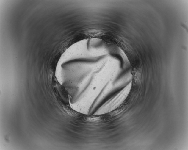 X0000097780283200803281708